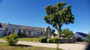 BELLE VISNONIA B&B gluten free & traditional